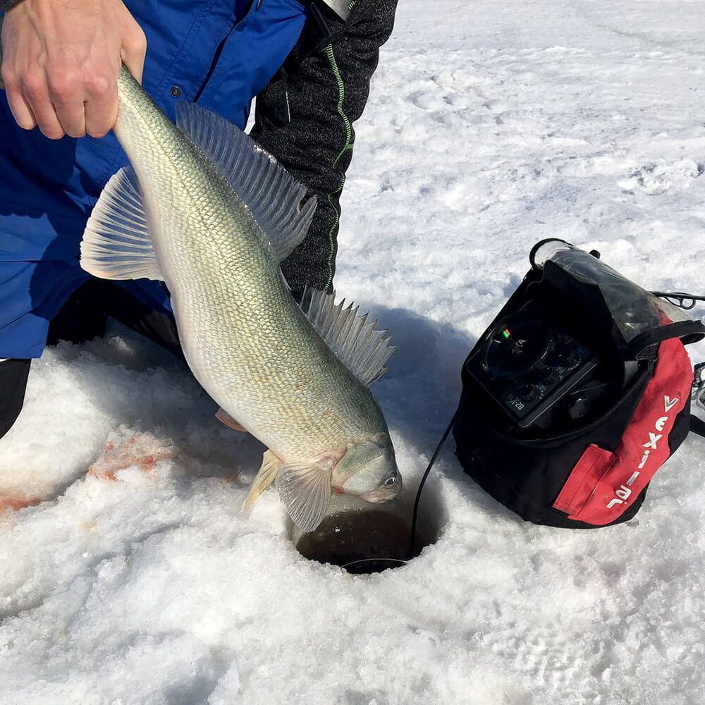 Walker's Adventures - Ice Fishing - Lake Winnipeg Fishing